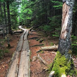 Jordan Pond, Acadia National Park Photo #8 by Roy Luck from flickr