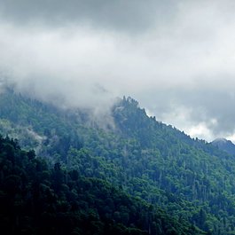 Newfound Gap, Gatlinburg Photo #1 by Pom' from flickr