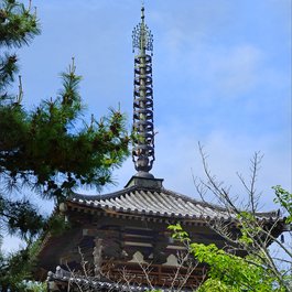 Negoro-ji Temple, Wakayama Photo #7 by Jean-Pierre Dalbéra from flickr