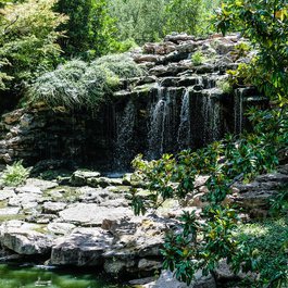 Fort Worth Botanic Garden, Fort Worth Photo #3 by Sharon Mollerus from flickr
