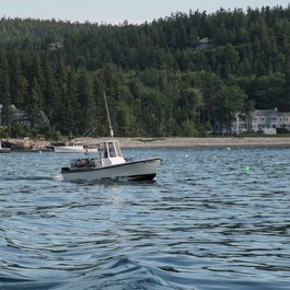 Northeast Harbor, Bar Harbor Photo #3 by U.S. Department of Agriculture from flickr
