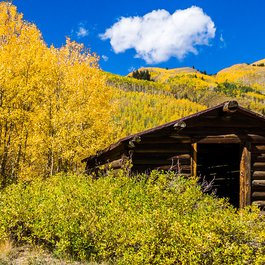Ashcroft Ghost Town, Aspen Photo #5 by Steven dosRemedios from flickr