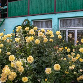 Issyk Kul, Kyrgyzstan Photo #4 by Ninara from flickr