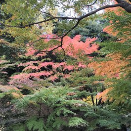 Tokugawaen, Nagoya Photo #9 by Kanesue from flickr