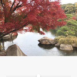 Tokugawaen, Nagoya Photo #8 by Kanesue from flickr