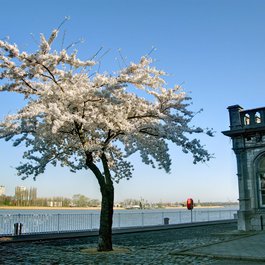 Het Steen, Antwerp Photo #6 by Marco Grifantini from flickr