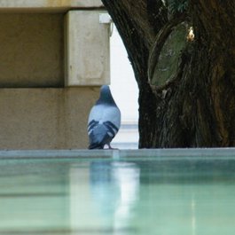 Queensland Museum, Brisbane Photo #9 by Michael Zimmer from flickr