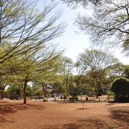 Nairobi itinerary, Jeevanjee Gardens