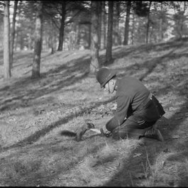 High Park, Toronto Photo #6 by BiblioArchives / LibraryArchives from flickr
