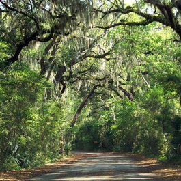Jacksonville itinerary, Fort Clinch State Park