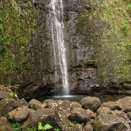 Manoa Falls, Honolulu Photo #4 by Ken Lund from flickr