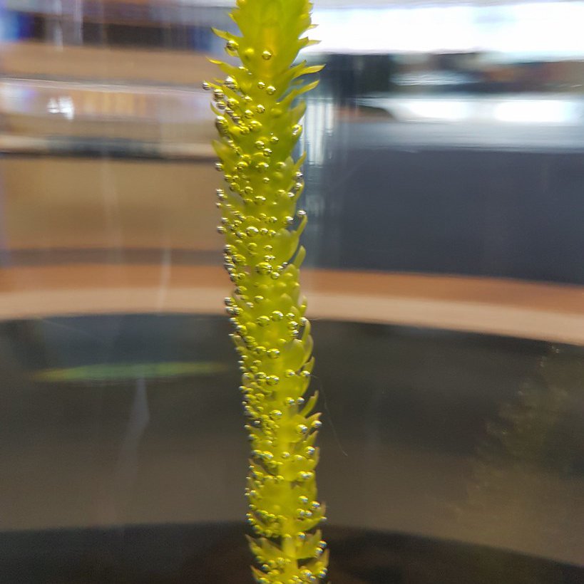 Exploratorium, San Francisco