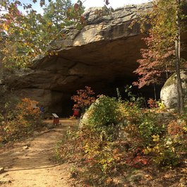 Petit Jean State Park, Little Rock Photo #6 by Marcus O. Bst from flickr