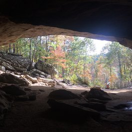 Petit Jean State Park, Little Rock Photo #8 by Marcus O. Bst from flickr