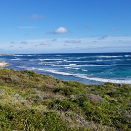 Rottnest Island, Perth Photo #8 by Dan Nevill from flickr