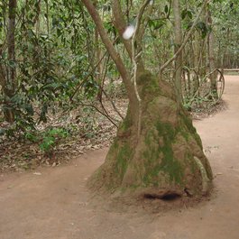 Cu Chi Tunnel, Ho Chi Minh City (Saigon) Photo #9 by Jorge Láscar from flickr