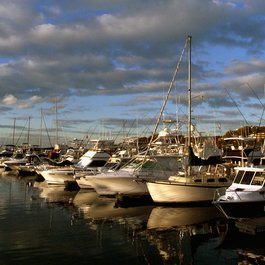Port Stephens, New South Wales Photo #4 by Bernard Spragg. NZ from flickr