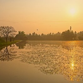 Kumarakom, Kerala Photo #8 by Brian Scott from flickr