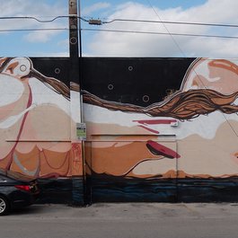 Wynwood Walls, Miami Photo #8 by Jay Galvin from flickr