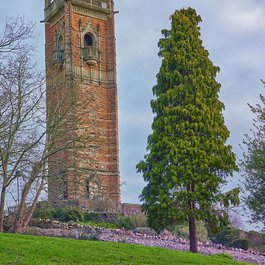 Cabot Tower, Bristol Photo #1 by Graeme Churchard from flickr