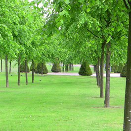 Glasgow Green, Glasgow Photo #2 by John from flickr