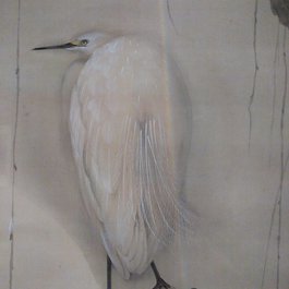 Japan Museum Sieboldhuis, Leiden Photo #3 by Esther Westerveld from flickr