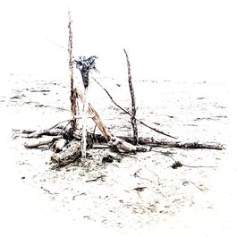Manzanita, Oregon Photo #7 by CAJC: in the PNW from flickr