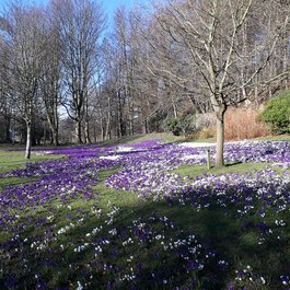 Seaton Park Aberdeen, Aberdeen Photo #6 by Iain Cameron from flickr