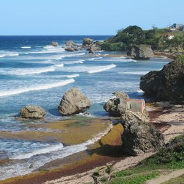 Bathsheba, Barbados Photo #4 by David Stanley from flickr