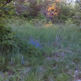 High Park, Toronto Photo #7 by Helena Jacoba from flickr