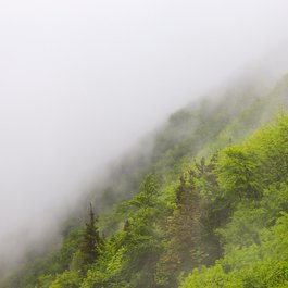 Tâmpa, Brasov Photo #5 by Alan B from flickr
