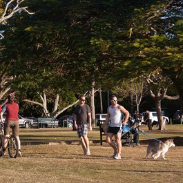 New Farm Park, Brisbane Photo #8 by Damien Ayers from flickr