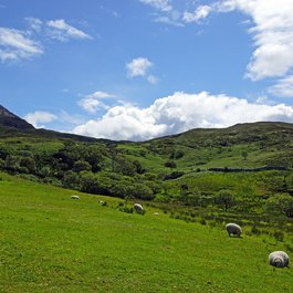 Letterfrack, Clifden Photo #6 by Allie_Caulfield from flickr