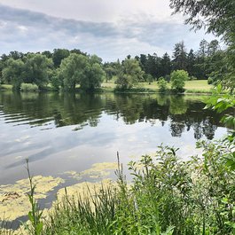 Dow's Lake, Ottawa Photo #8 by Ross Dunn from flickr