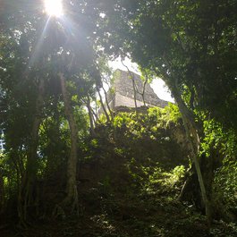 Tikal, Flores Photo #2 by Antti T. Nissinen from flickr