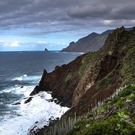 Santa Cruz Island, Galapagos Islands Photo #7 by Enrico Strocchi from flickr