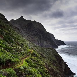 Santa Cruz Island, Galapagos Islands Photo #2 by Enrico Strocchi from flickr