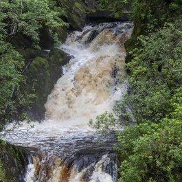 Devil's Bridge National Park, Antigua Photo #8 by Jeremy Segrott from flickr