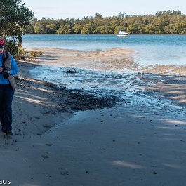 Port Stephens, New South Wales Photo #7 by Franz Venhaus from flickr