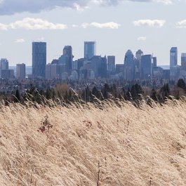 Calgary itinerary, Nose Hill Park