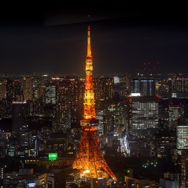 Roppongi Hills, Tokyo Photo #3 by Domenico Convertini from flickr