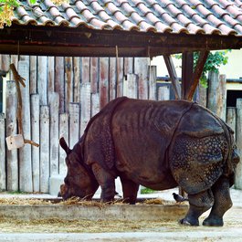 Lisbon Zoo, Lisbon Photo #8 by Pedro Ribeiro Simões from flickr