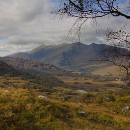 Ladies' View Gift Store Cafe Bar & Roof Terrace, Western Ireland Photo #2 by Maciej Brencz from flickr