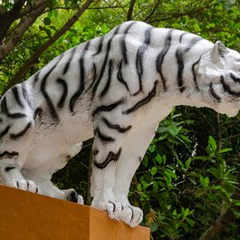 Chimelong Paradise, Guangzhou Photo #5 by xiquinhosilva from flickr