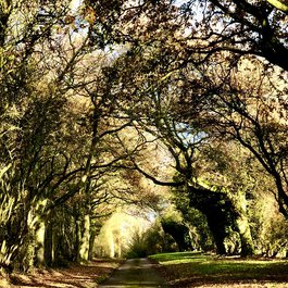 Litchfield, Connecticut Photo #9 by Herry Lawford from flickr