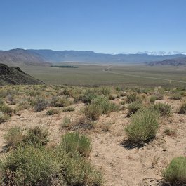 Furnace Creek, Death Valley National Park Photo #7 by Jim Morefield from flickr