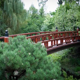 Anderson Japanese Gardens, Rockford Photo #8 by vxla from flickr