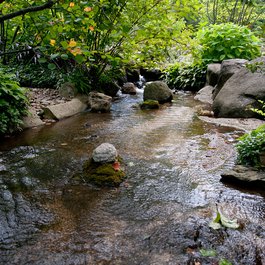 Anderson Japanese Gardens, Rockford Photo #1 by vxla from flickr