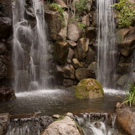 Anderson Japanese Gardens, Rockford Photo #5 by vxla from flickr