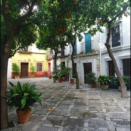 Casco Antiguo-santa Cruz, Costa Blanca Photo #6 by Jose A. from flickr